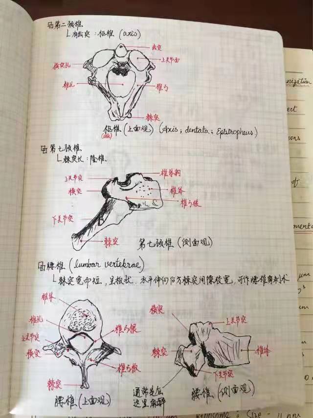 足球论坛